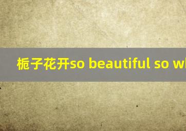 栀子花开so beautiful so white